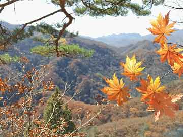 郴州輕軌動態(tài)，自然美景的探索之旅啟動