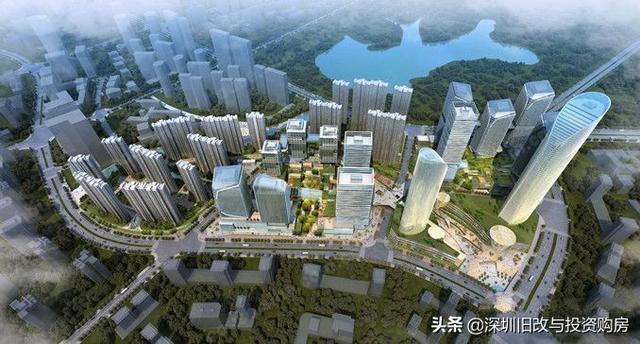 龍崗最新資訊，學(xué)習(xí)變革，自信成就未來之路