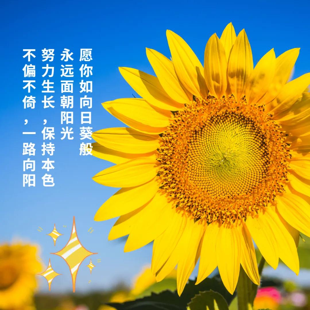 精選語錄回顧，蛻變成長與無限可能——我的朋友圈故事 2017年度回顧