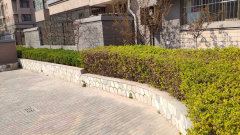 陽光國際城601，家的溫馨與友情深度鏈接的實景圖展示