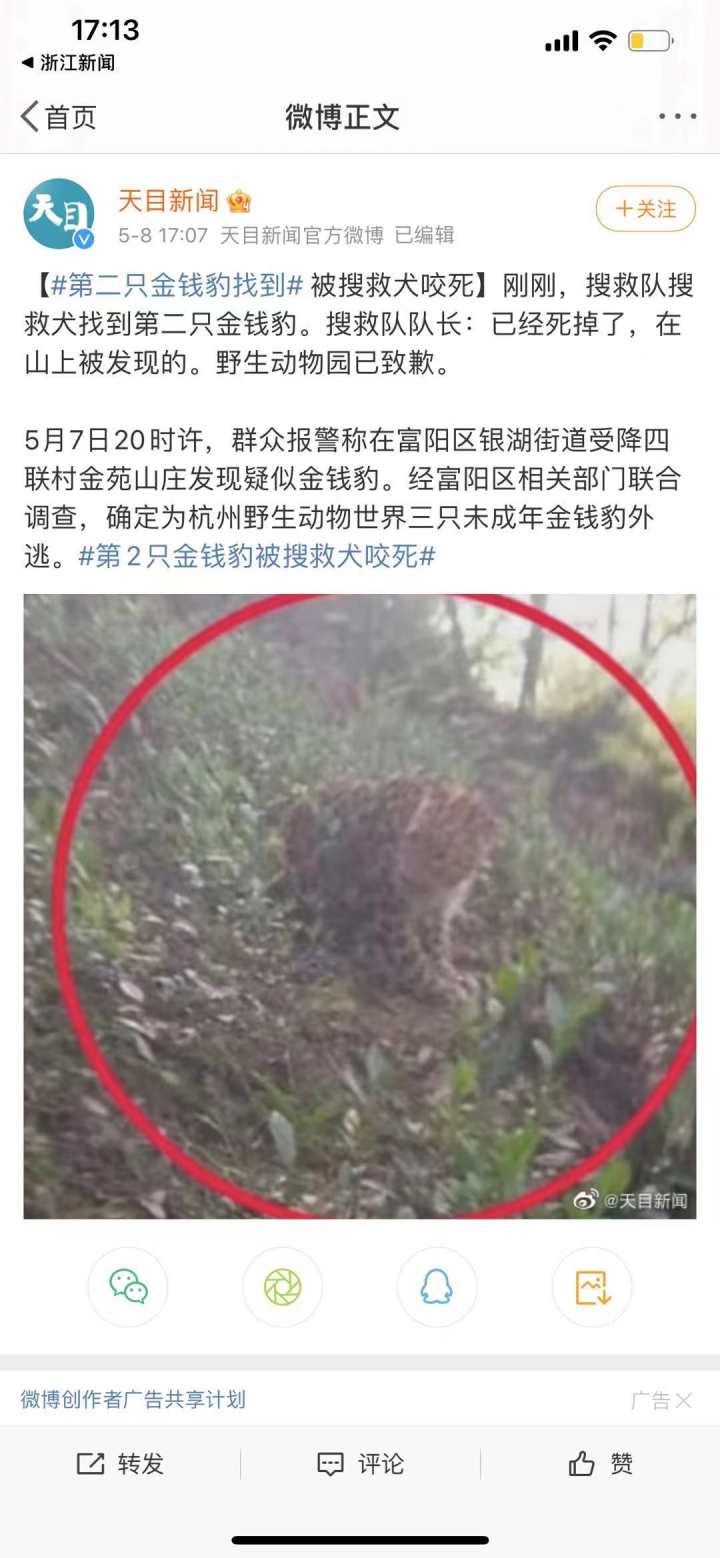 承德新聞快訊，多元視角下的觀察與解讀今日更新
