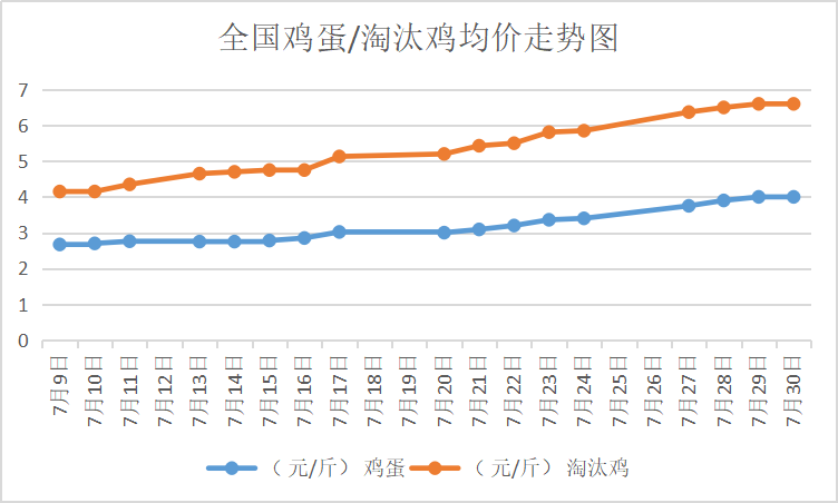 北京大洋路雞蛋今日行情，探尋內(nèi)心平靜的雞蛋之旅