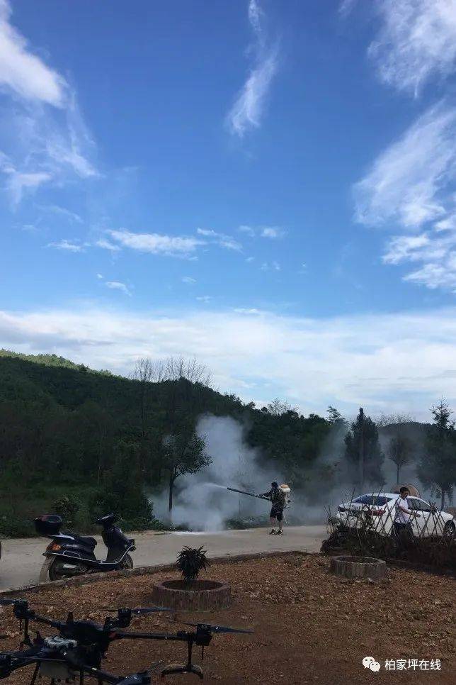 最新蝗蟲災(zāi)害動(dòng)態(tài),最新蝗蟲災(zāi)害動(dòng)態(tài)，應(yīng)對與防治的詳細(xì)步驟指南