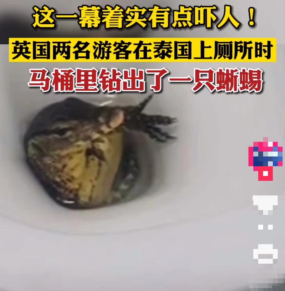 最新蛇咬事件，自然探險之旅遭遇意外危機