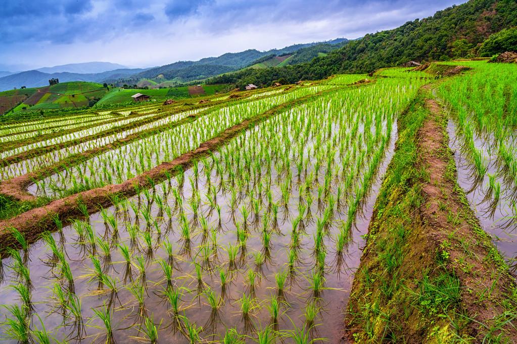 疫情控制最新動態(tài)更新，最新進(jìn)展與趨勢分析