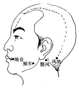 最新經(jīng)絡(luò)療法，開啟健康之旅的秘訣??