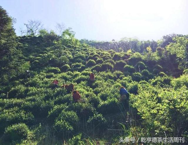 宣城新冠病毒防護(hù)指南，最新防護(hù)策略及應(yīng)對(duì)方法