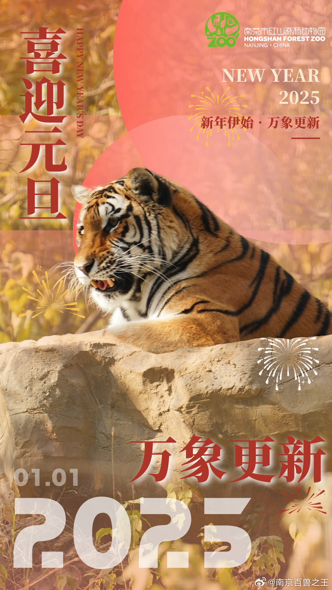 最新年伊始，完成某項(xiàng)任務(wù)或?qū)W習(xí)某種技能的詳細(xì)步驟指南