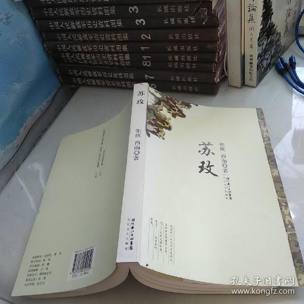 時(shí)代背景下的璀璨篇章，蘇最新章節(jié)速遞
