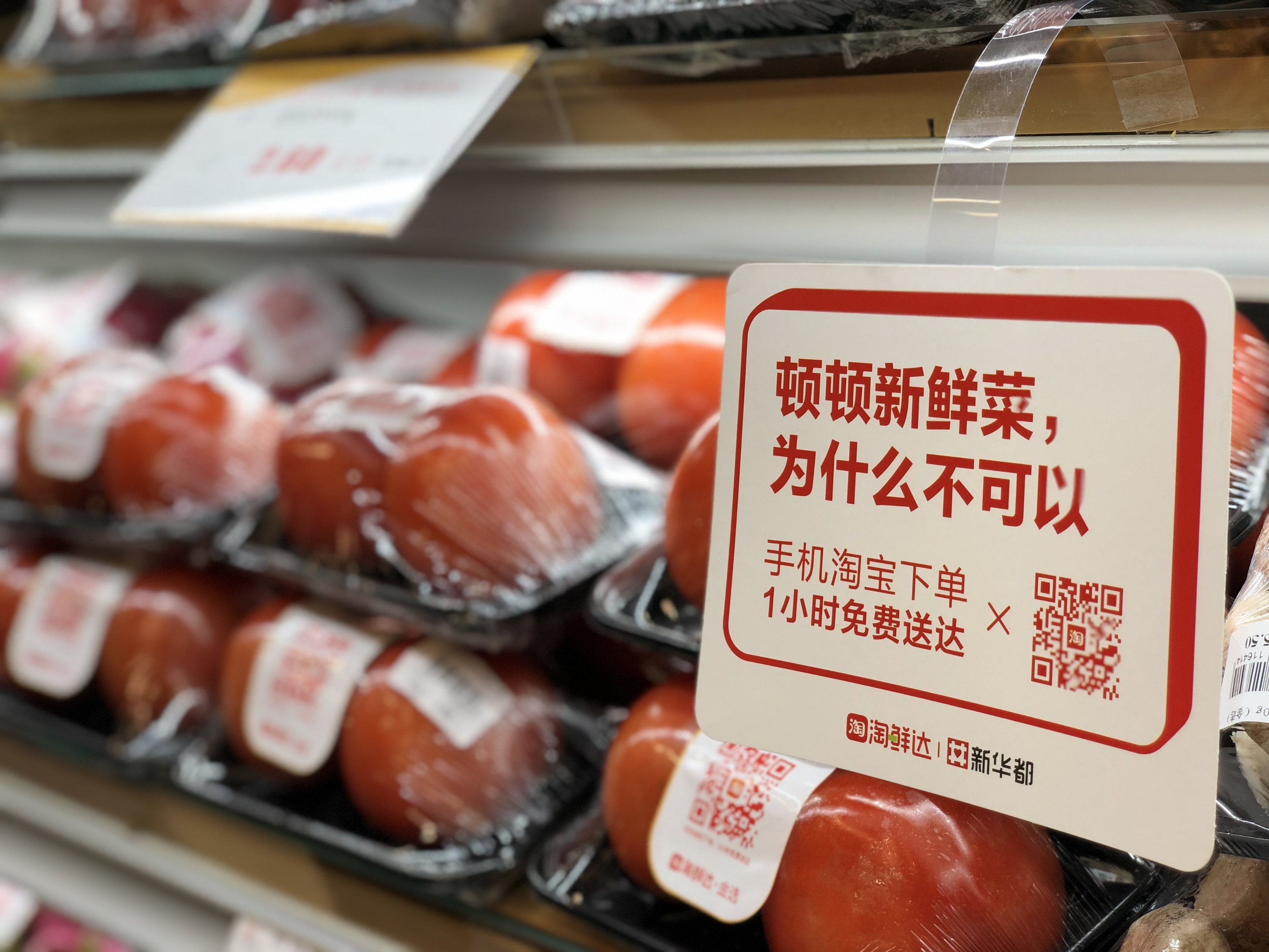 小巷中的秘密美食天堂，淘最新鮮美食之旅