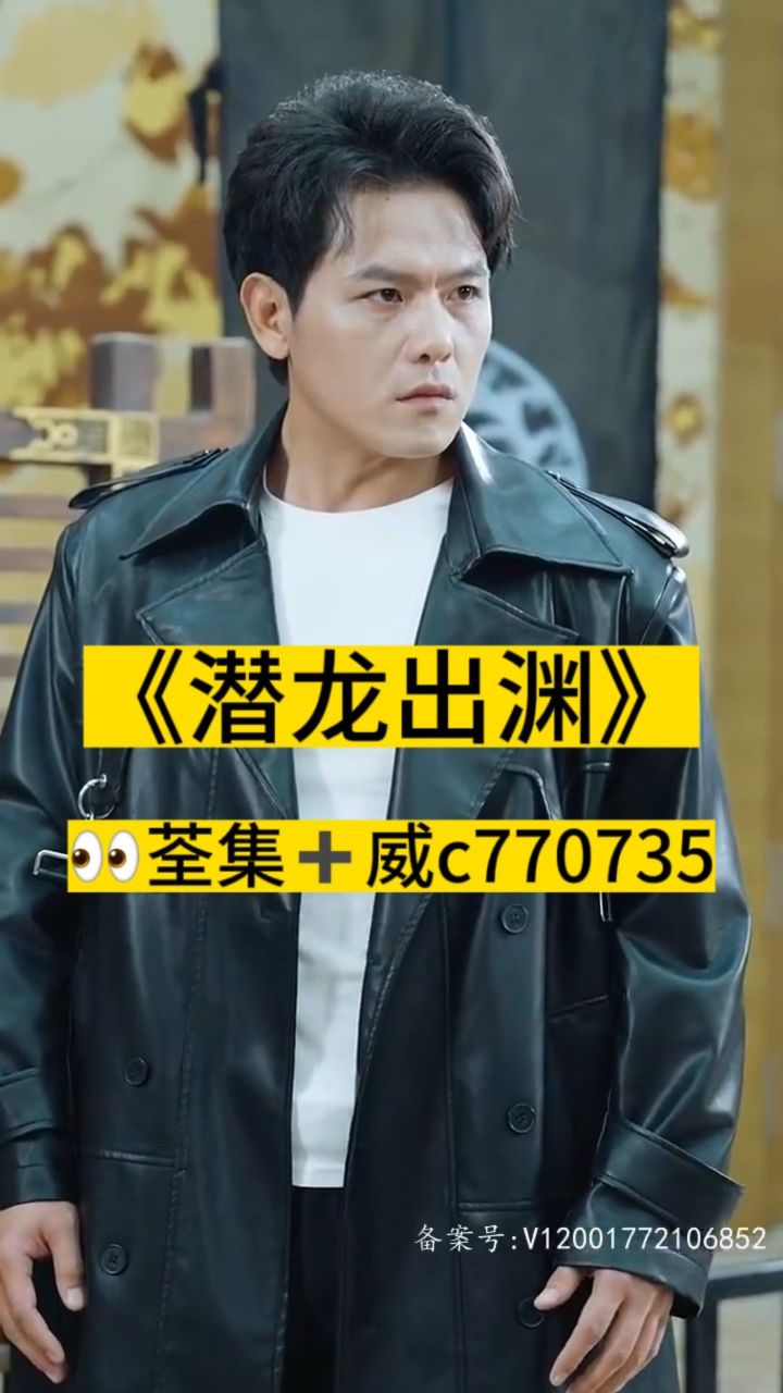淘龍最新視頻，日常趣事與愛之陪伴
