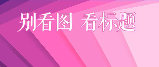 預(yù)情最新通知詳解，任務(wù)完成與技能學(xué)習(xí)步驟指南